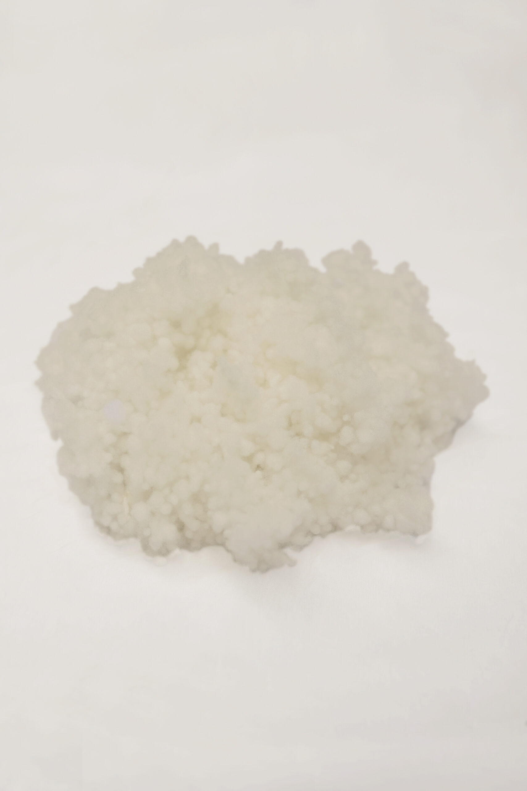 RBA_0246 BONCUK ELYAF